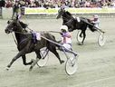Elitloppet 2001