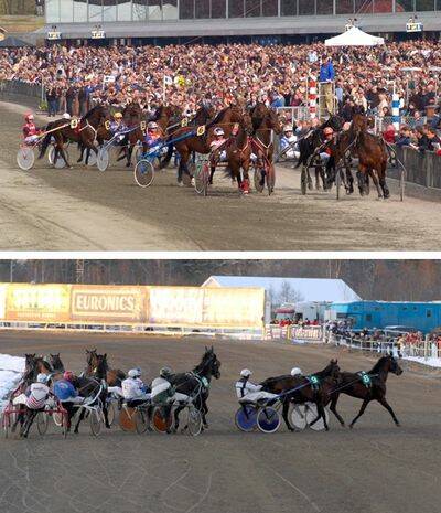 Loppen - uppl&auml;gget kan avg&ouml;ra