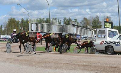 Loppen - uppl&auml;gget kan avg&ouml;ra 2