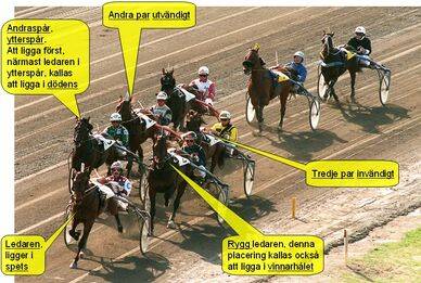 Loppen - uppl&auml;gget kan avg&ouml;ra 3