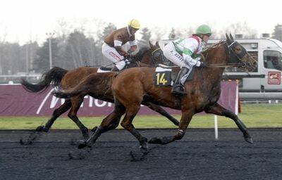 Loppen - uppl&auml;gget kan avg&ouml;ra 4