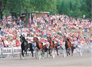 Travbanan - ett folkn&ouml;je