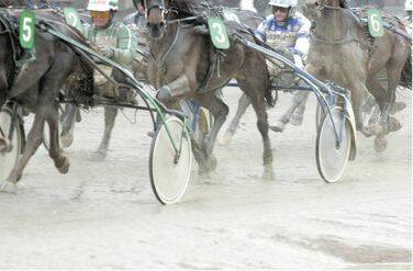 Travbanan - ett folkn&ouml;je 2
