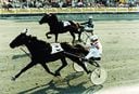 Elitloppet 1995